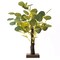 17" LED Brown Green Tree Battery Operated Lighted Eucalyptus Plant Party Events